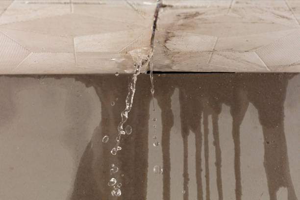 Professional Burst Pipe Cleanup technician working in Rosburg, WA